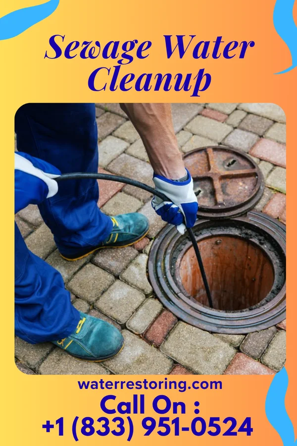 Sewage Water Cleanup in Truxton, MO